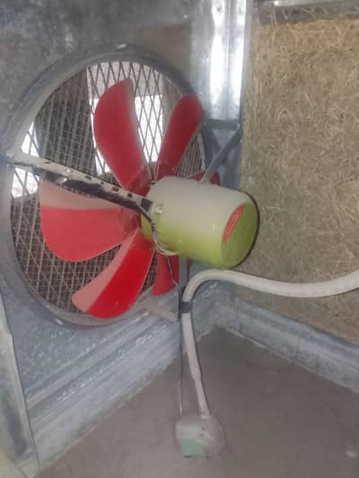 Air cooler