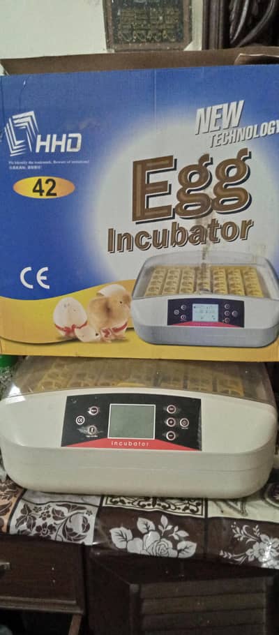 42 eggs automatic incubator for sale