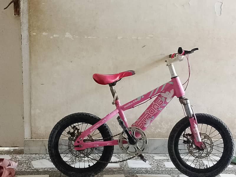 bicycle 0