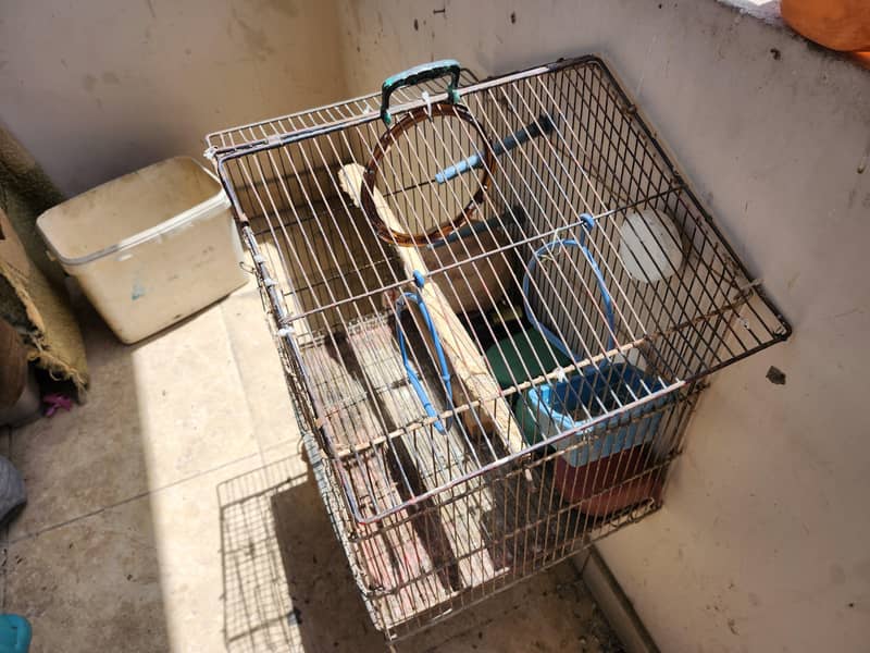 Cages 0