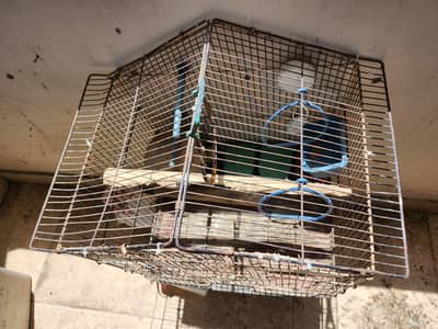 Cages for Birds