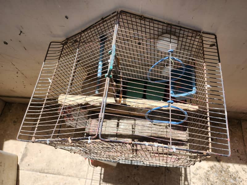 Cages 1