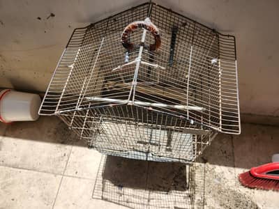 Cages for Birds