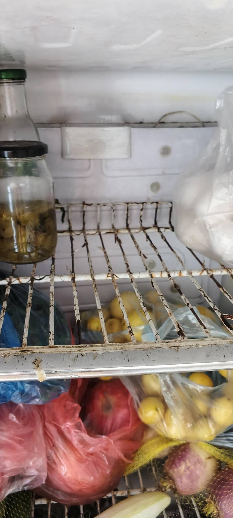 orient fridge medium size 4