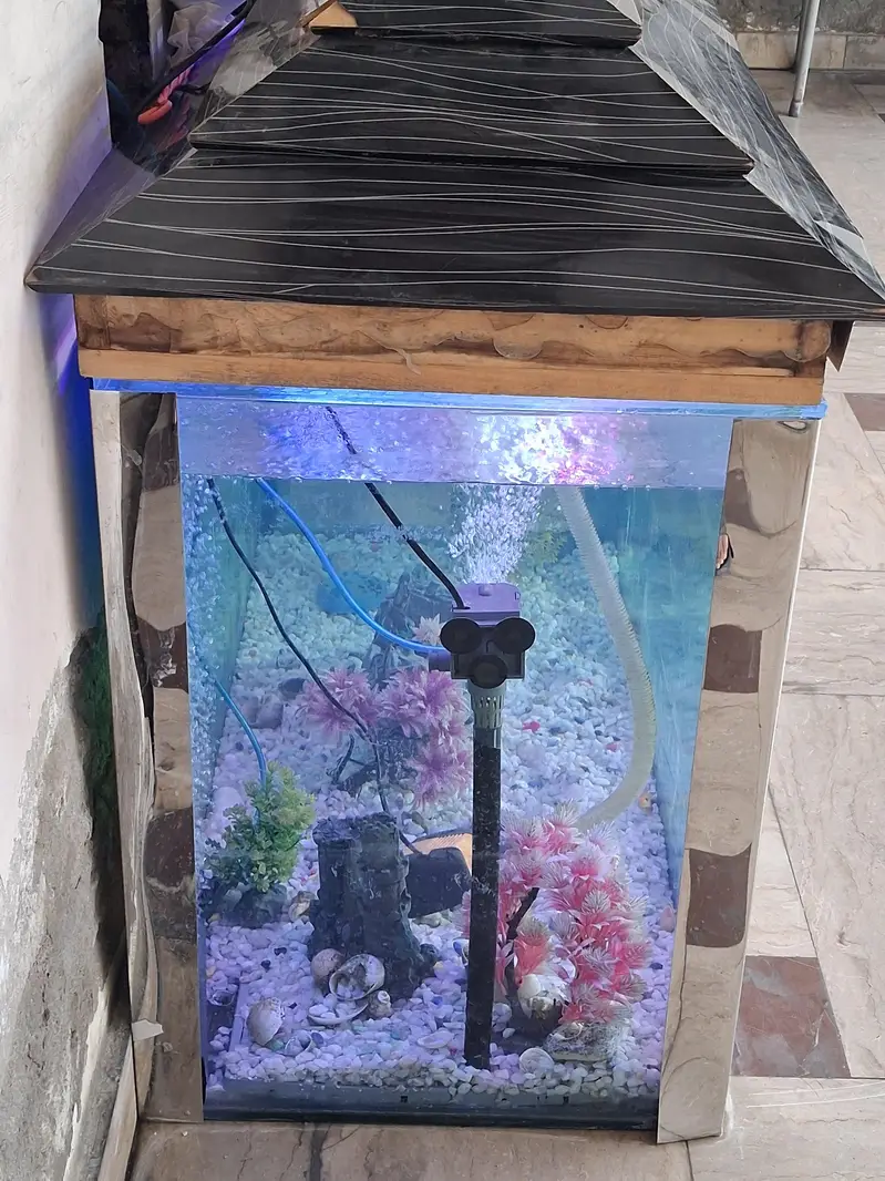 aquarium for sale 4ft higth 5ft length  argent sale