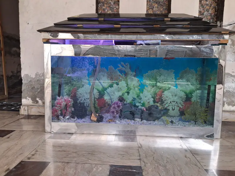 aquarium for sale 4ft higth 5ft length  argent sale — photo 2