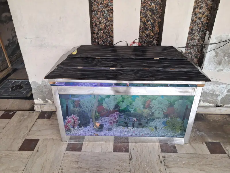 aquarium for sale 4ft higth 5ft length  argent sale — photo 3