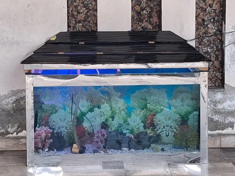 aquarium for sale 4ft higth 5ft length  argent sale — photo 4