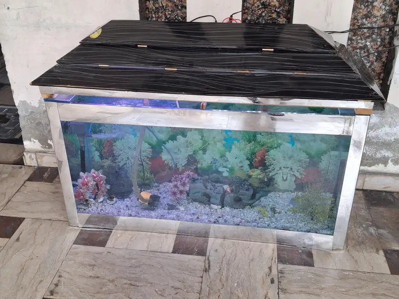aquarium for sale 4ft higth 5ft length  argent sale — photo 5