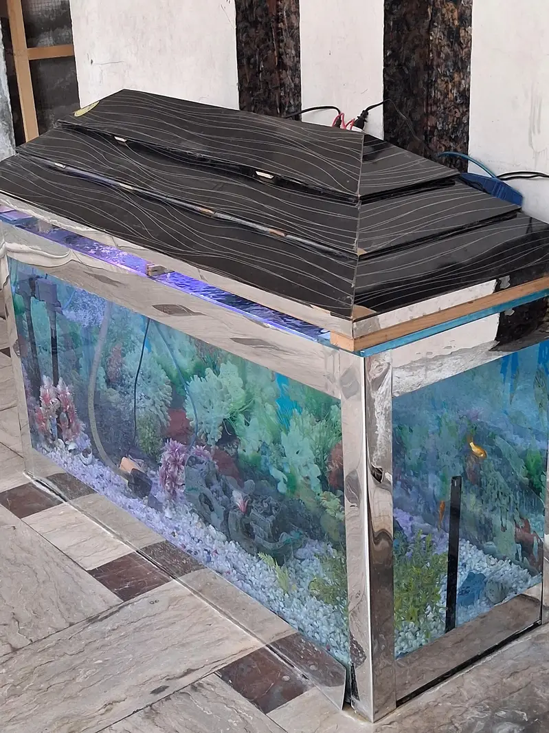 aquarium for sale 4ft higth 5ft length  argent sale — photo 6