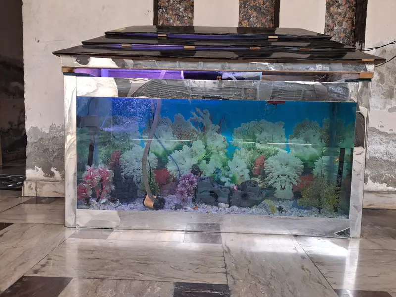 aquarium for sale 4ft higth 5ft length  argent sale — photo 8