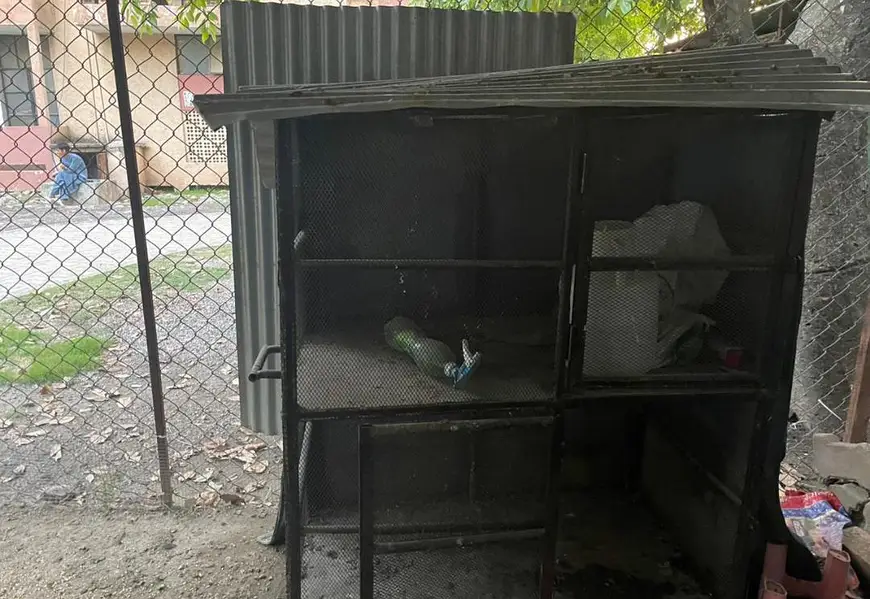 hen cage 2 story — photo 2