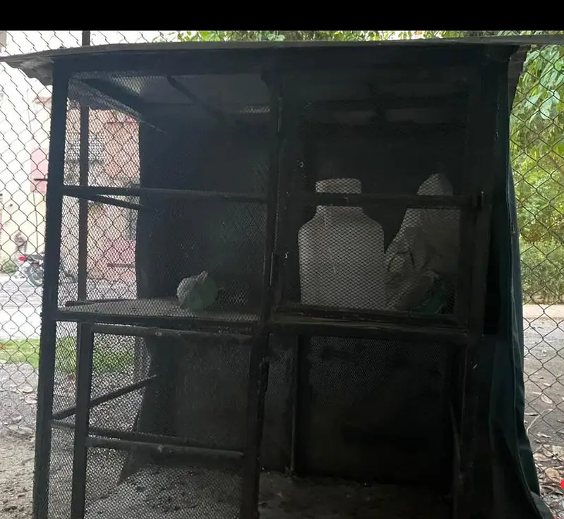 hen cage 2 story — photo 3
