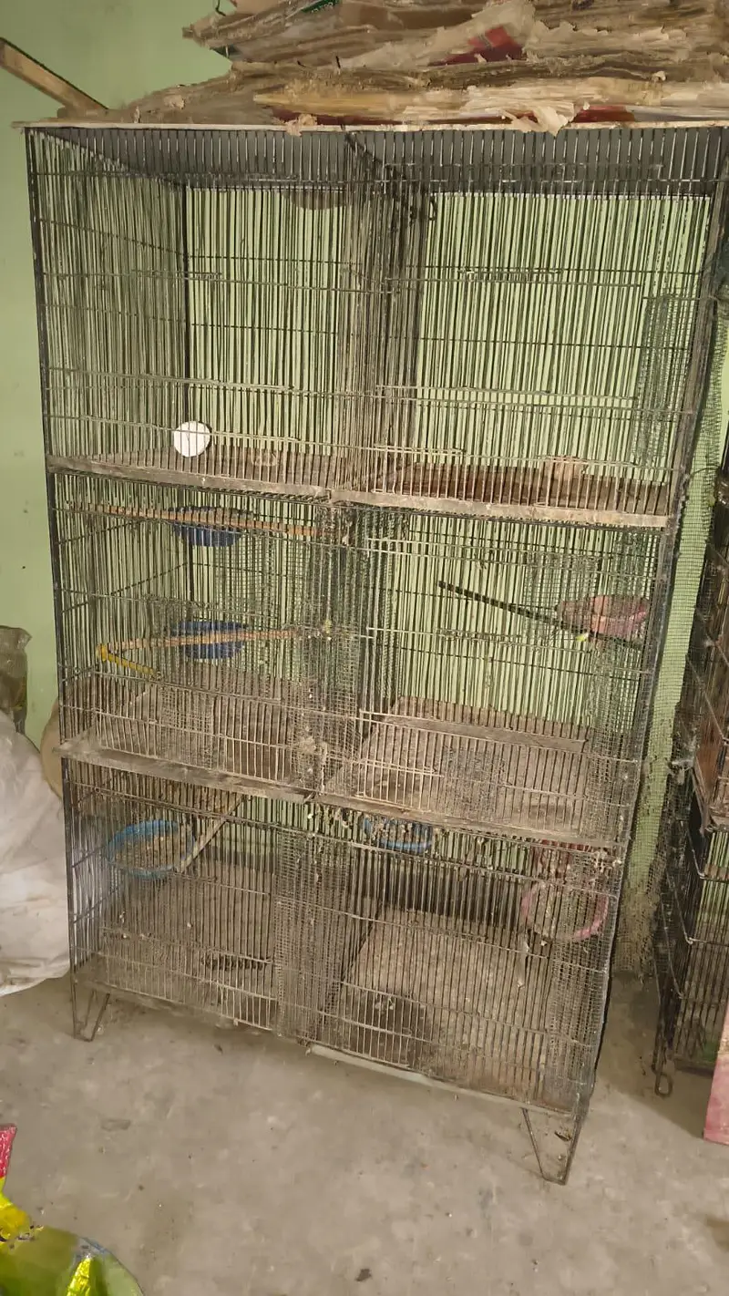 Cage for sale