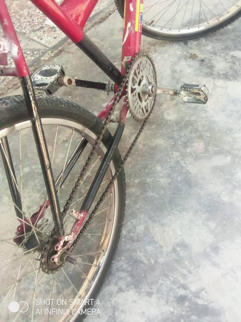 mountain bicycle 8