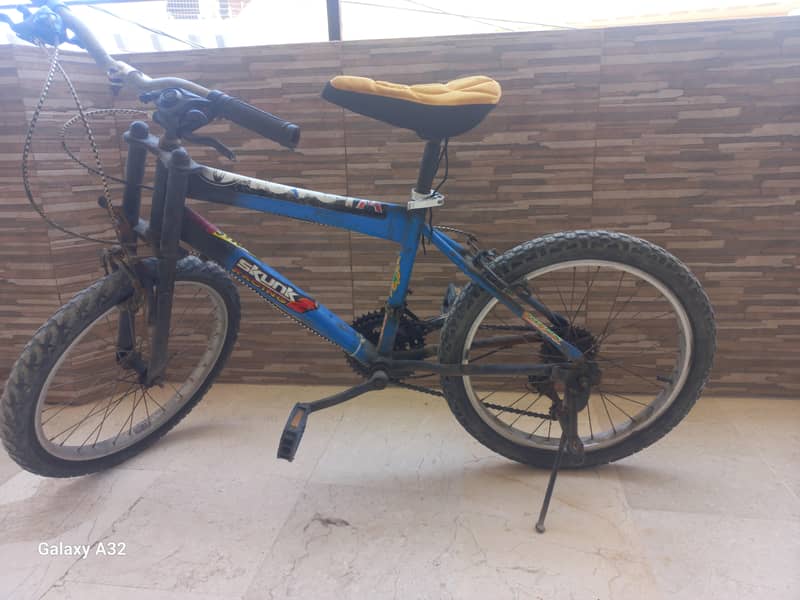 old cycle 1