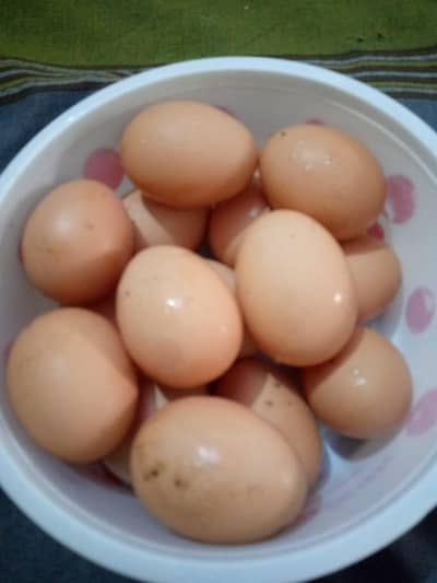Aseel Desi fresh original fertile eggs for Sale