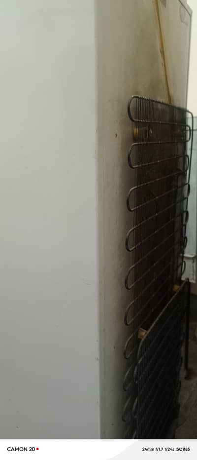 large size firdge  dawlance Rs . 20000