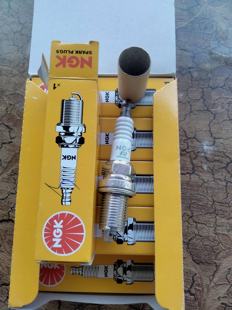 SPRAK PLUG 6