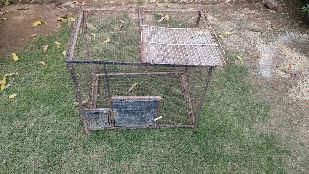 cage for urgent sale