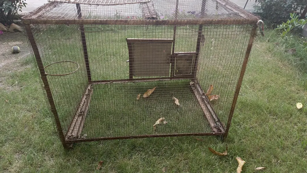 cage for urgent sale — photo 2