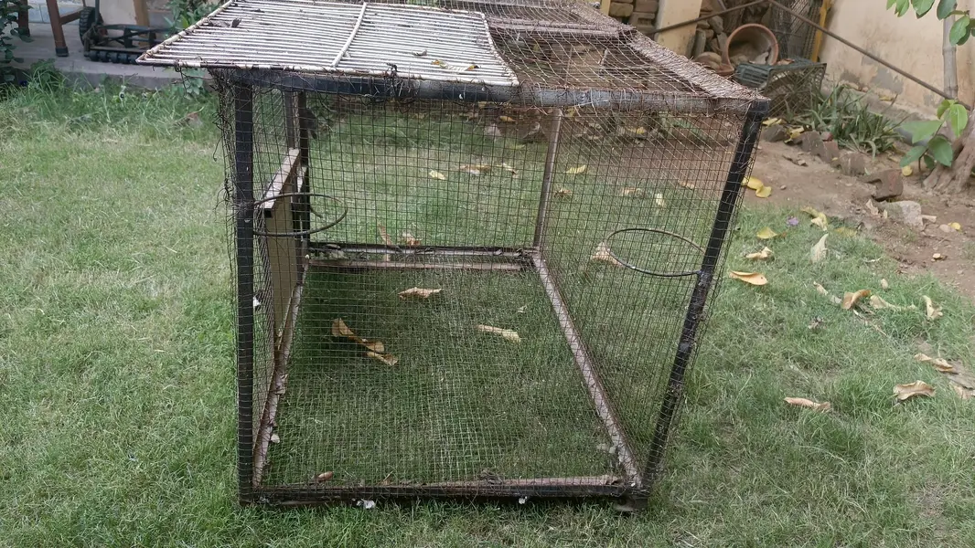 cage for urgent sale — photo 3