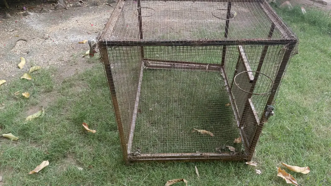 cage for urgent sale — photo 4