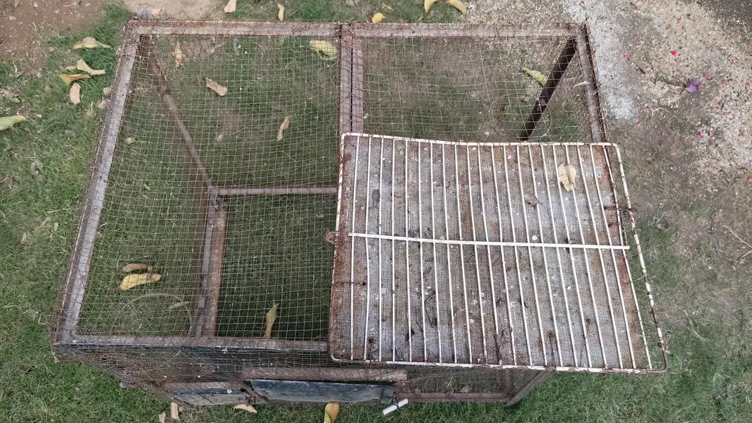 cage for urgent sale — photo 5