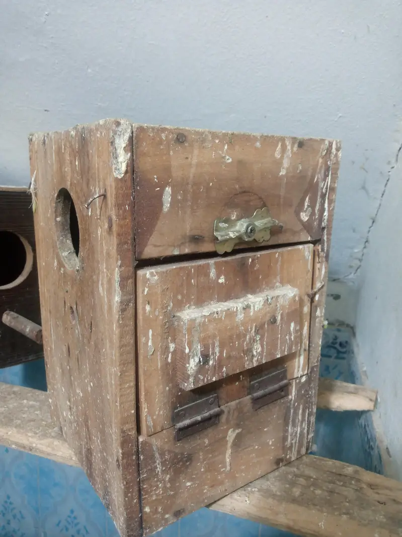 kikkar boxes for love bird or canoure — photo 2