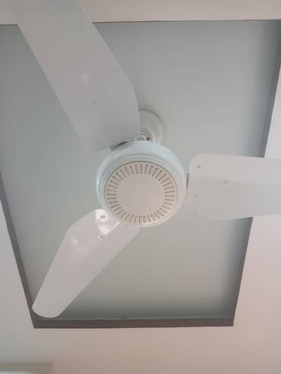 indus ceiling fan in 10/10 condition brand new condition