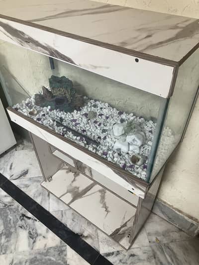 Fish Aquarium 2.5Ft