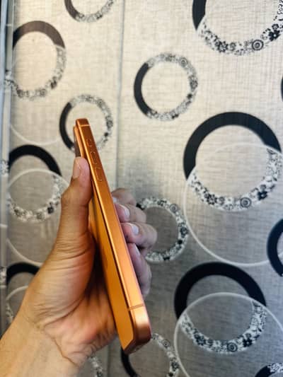 Iphone 17 Pro Max 256 GB Non PTA