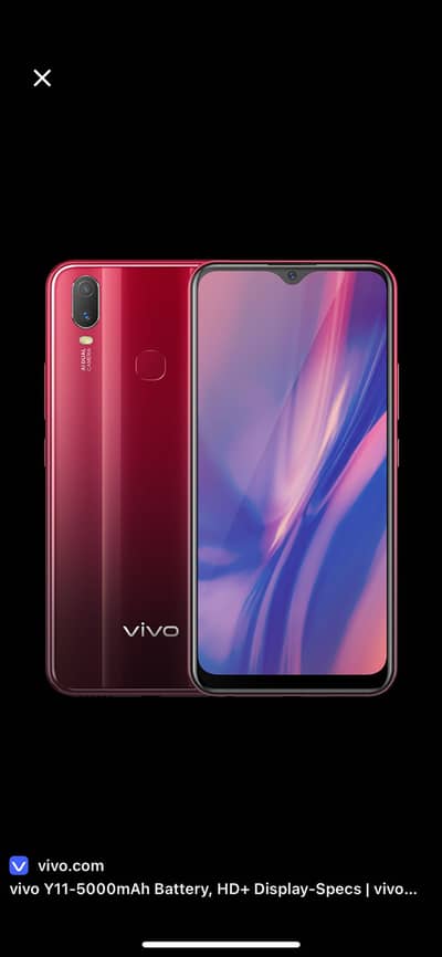 Y11 vivo