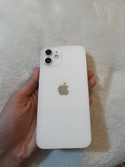 Iphone 12 Starlight