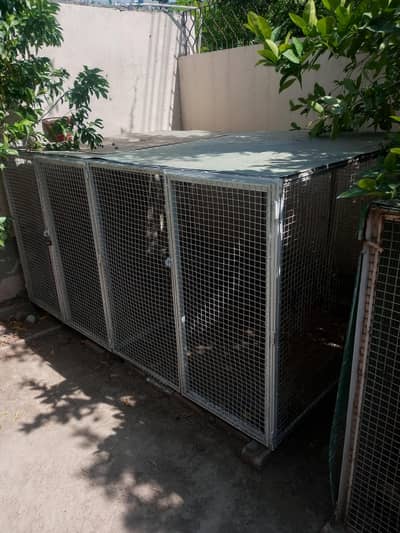 Heavy Duty Hens Cage