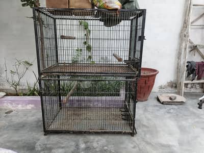 Trolly Cage Available in cheap price