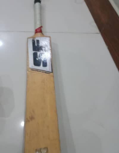 SF bat