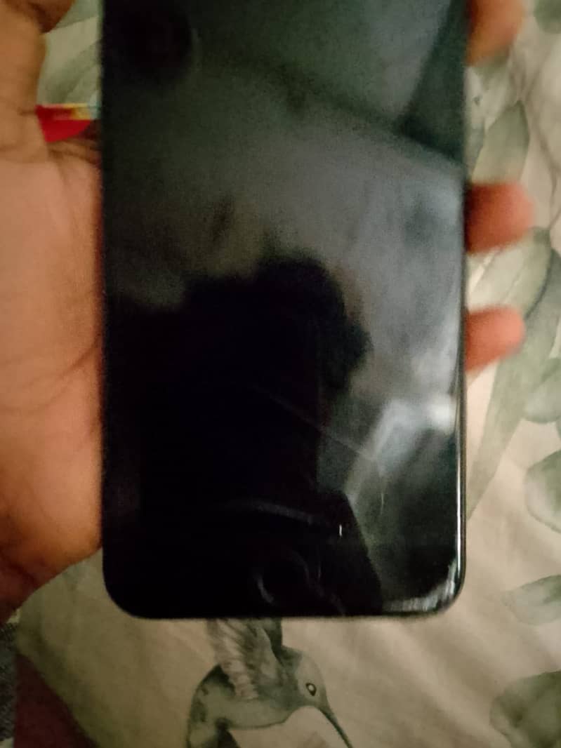 iPhone 7 pulse 1