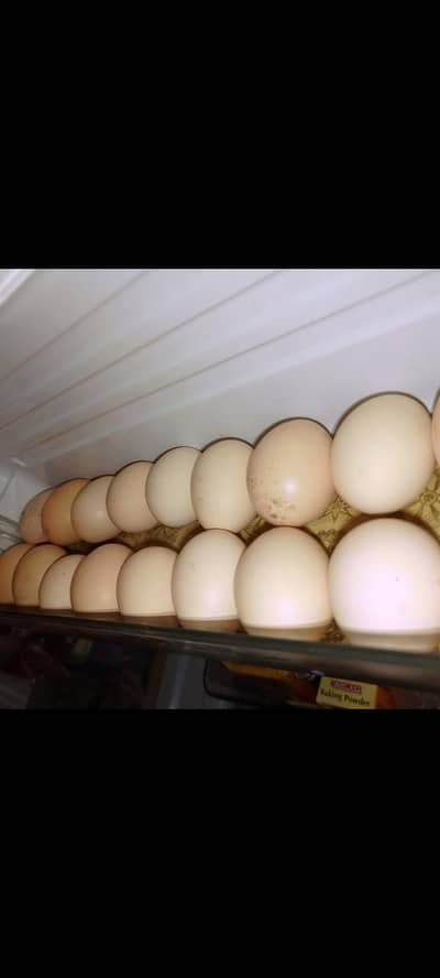 Pure Desi Eggs For Sale