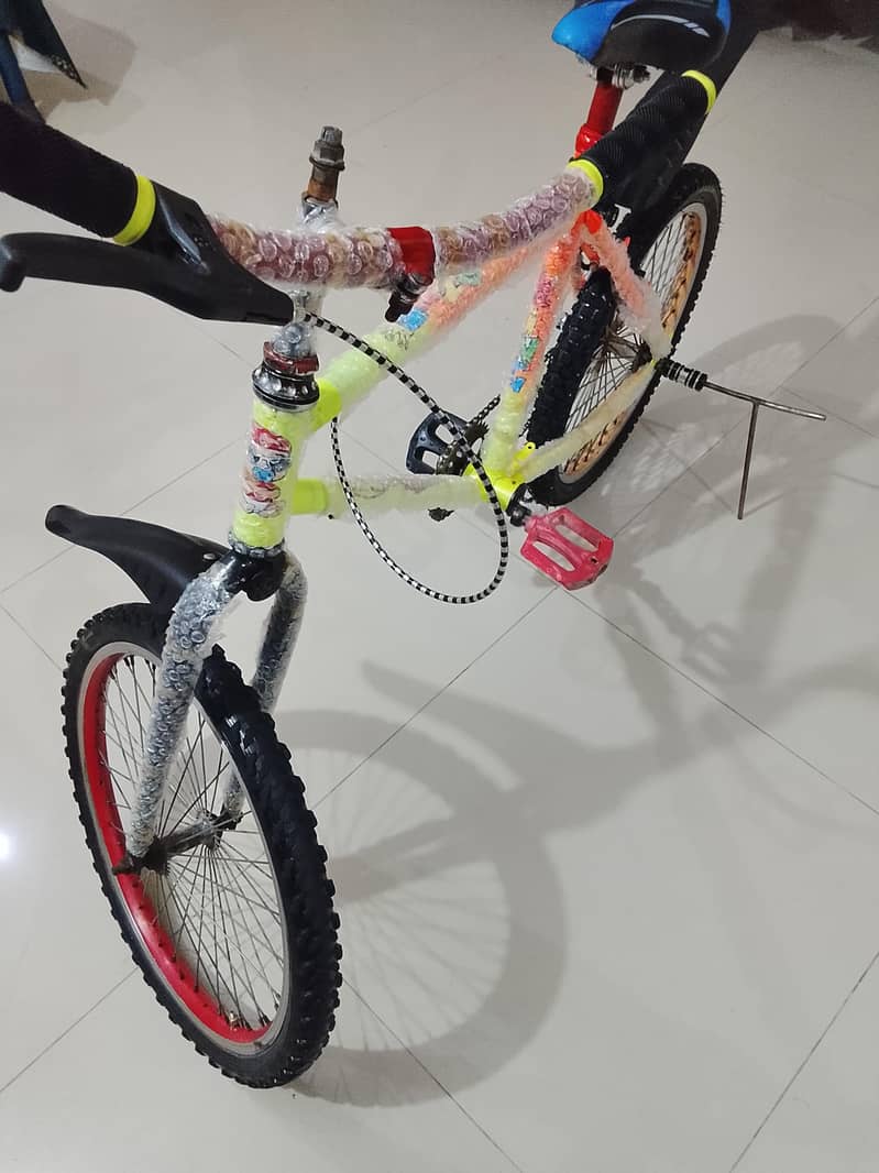 cycle 10