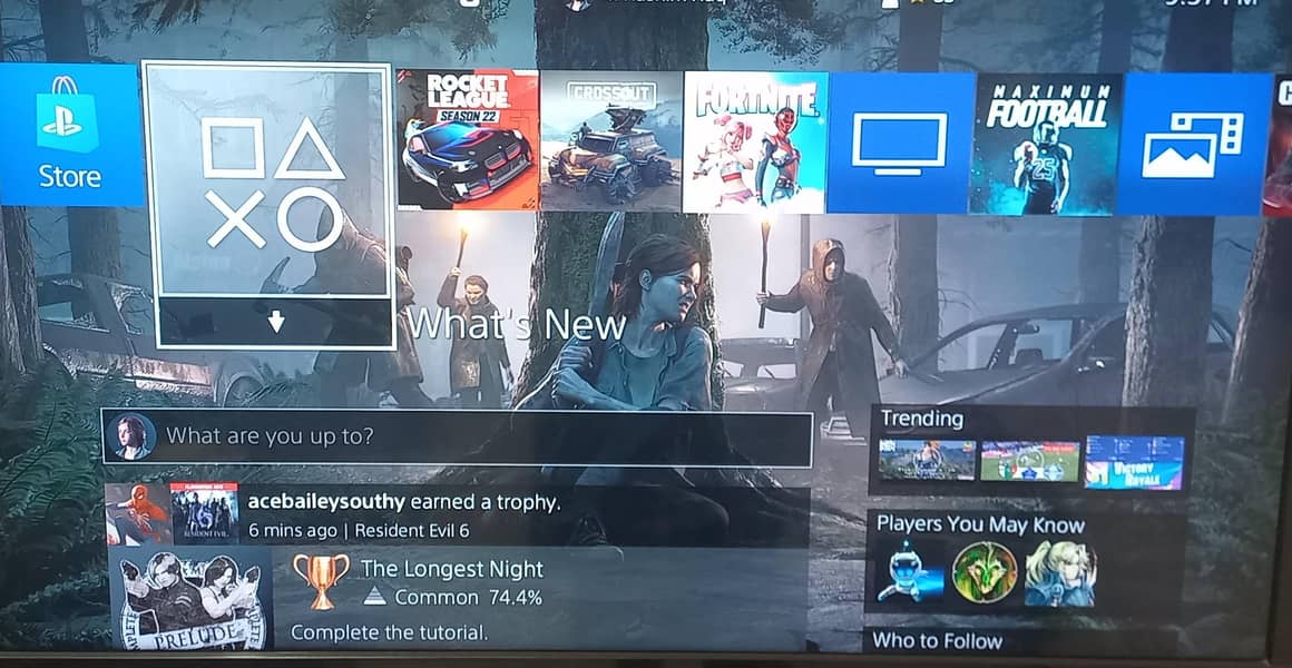 Ps4 1TB 2 controllers 1