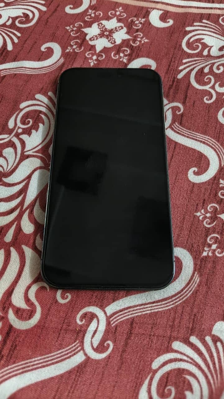 14 Pro Max 1