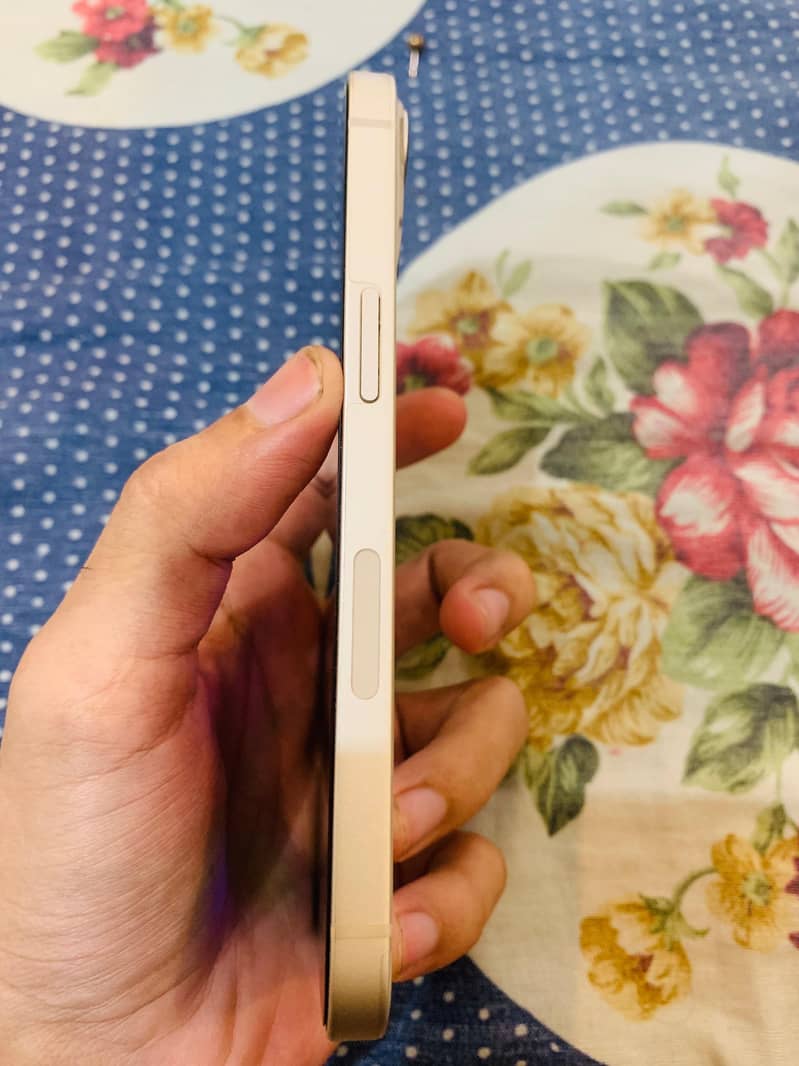 Iphone 5