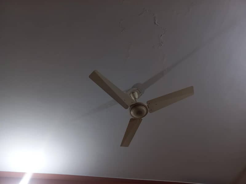 ceiling fans 0
