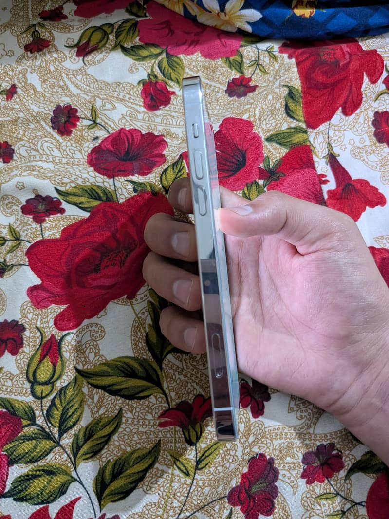 iphone 12 pro 4