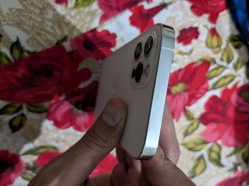 iphone 12 pro 9