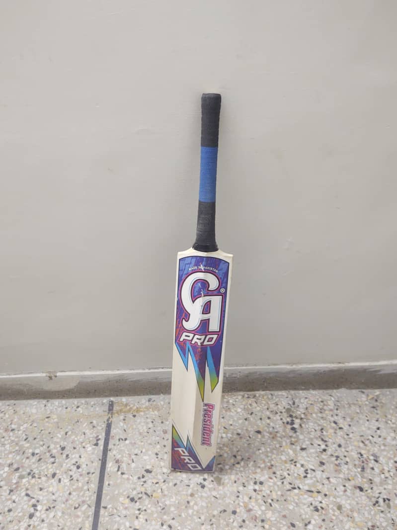 Cricket bat 0