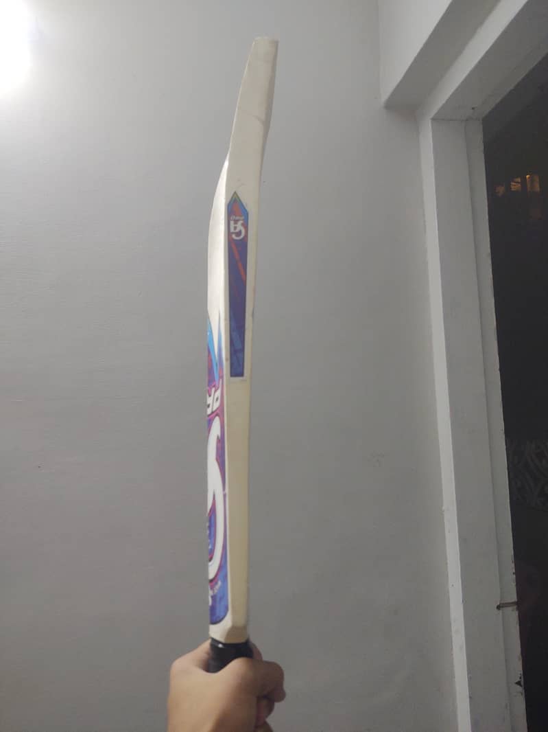 Cricket bat 1