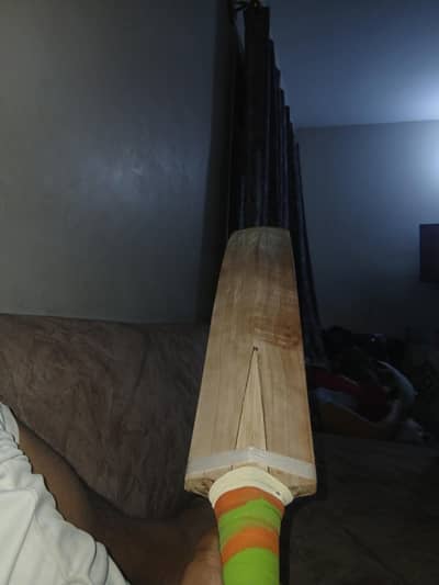 UT Company Bat
