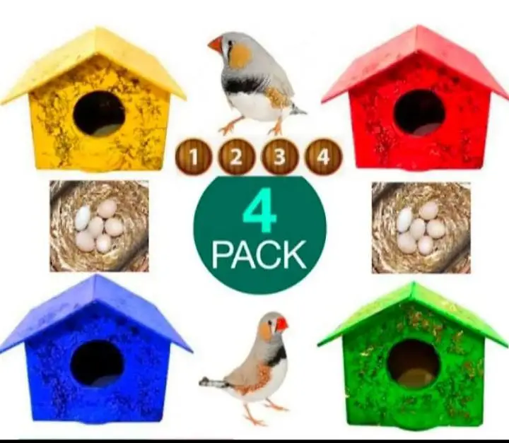 birds toys & play stand & accessories available 03130656798 — photo 5